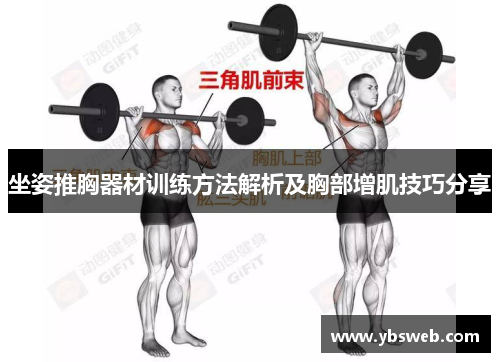 坐姿推胸器材训练方法解析及胸部增肌技巧分享